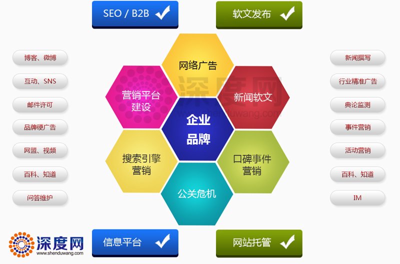 温州网站开发：本地企业如何抓住数字化机遇